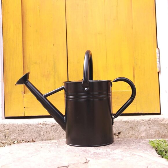 Beautiful Metal Watering Can for Outdoor & Indoor Plants 1 Gallon New! - Picture 4 of 4